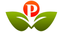 Pinnacles – Best Coaching For NEET & JEE In Bazar Samiti, Patna